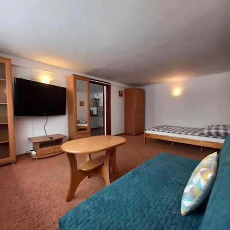 U Tylki Studio Z Widokiem Na Gory Zakopane Zewnętrze zdjęcie