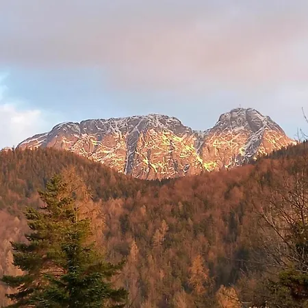 U Tylki Studio Z Widokiem Na Gory Zakopane Zewnętrze zdjęcie