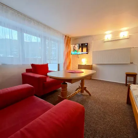 U Tylki Studio Z Widokiem Na Gory Zakopane Zewnętrze zdjęcie