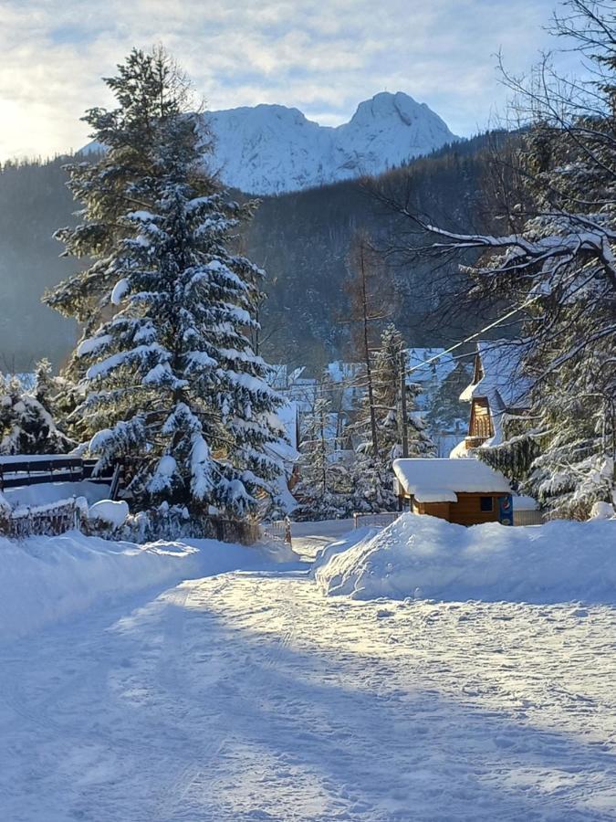 U Tylki Z Widokiem Na Gory * Zakopane